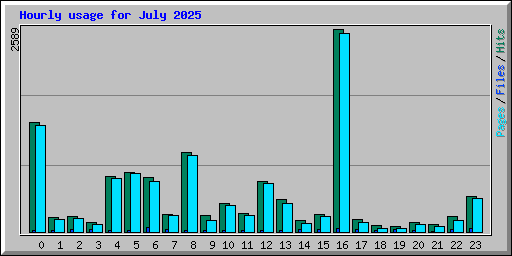 Hourly usage for July 2025
